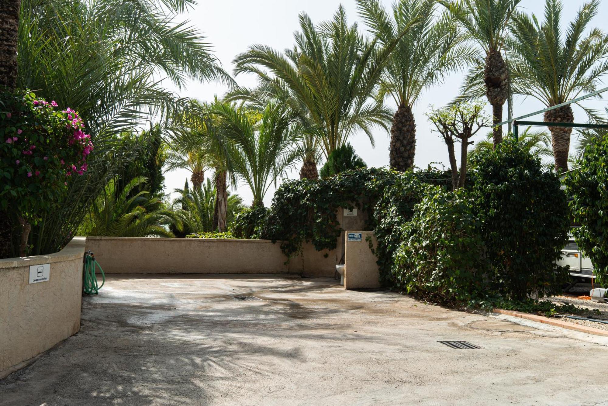 Camping Las Palmeras Crevillente Bagian luar foto