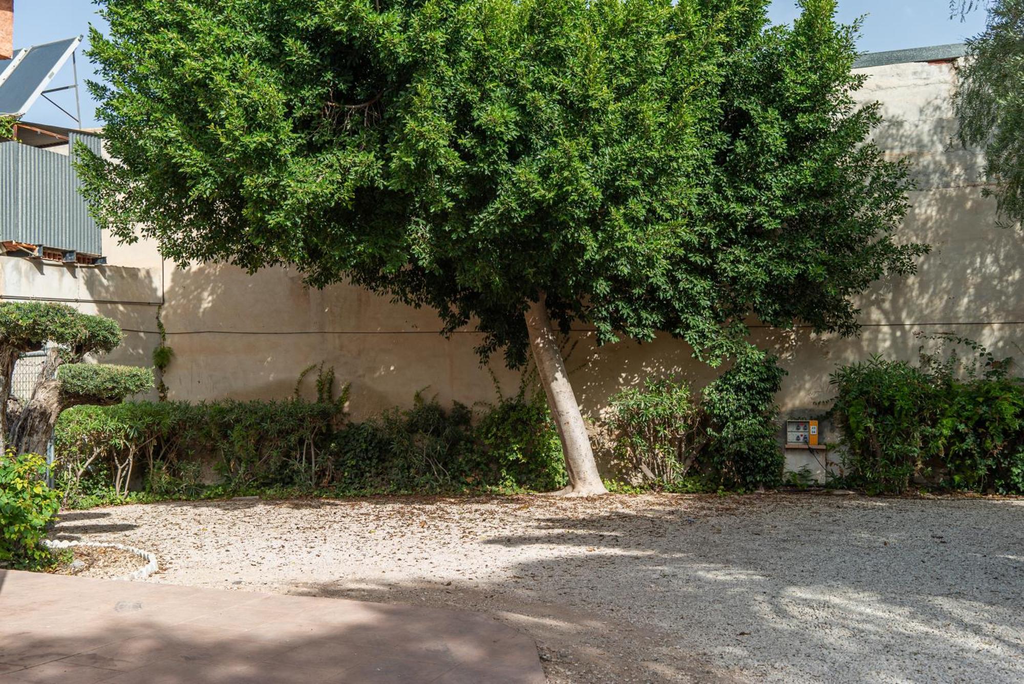Camping Las Palmeras Crevillente Bagian luar foto