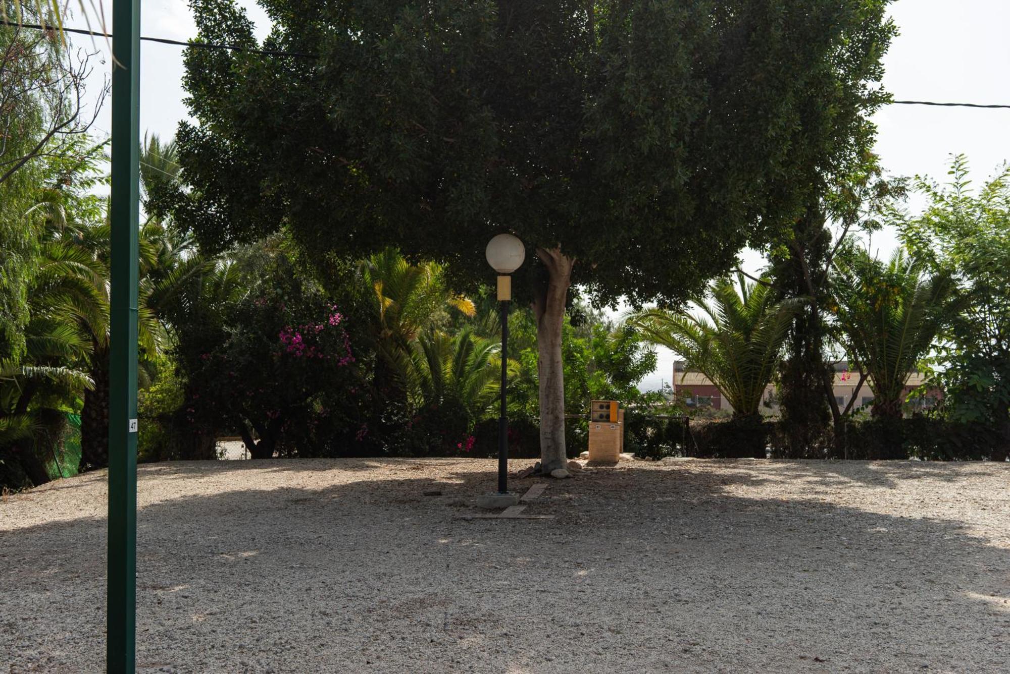 Camping Las Palmeras Crevillente Bagian luar foto
