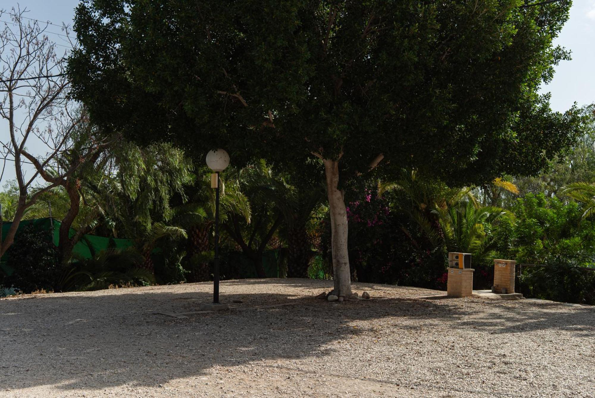 Camping Las Palmeras Crevillente Bagian luar foto